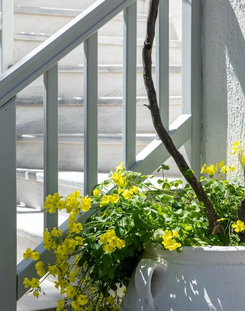 Secret Garden Apartments Mykonos Town