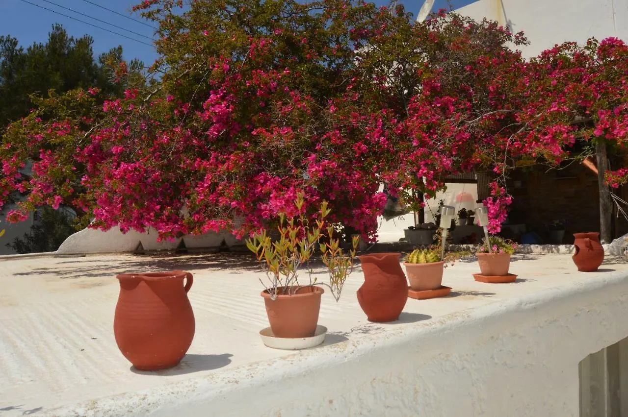 Secret Garden Apartments Mykonos Town Greece